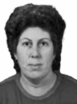 ZAGORKA Brankova RADULOVIĆ