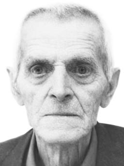 TOMISLAV Josifa DAMJANOVIĆ