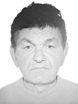 MIRKO Stojanov ADŽIĆ