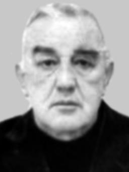 BOŽIDARA RADONJIĆA