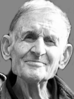 RADOMIR M.  POLEKSIĆ