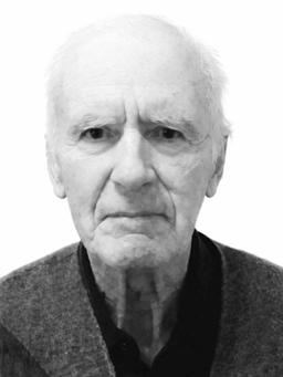 STEVANA Luke PEROVIĆA