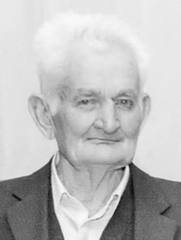 VOJISLAV KALPAČINA