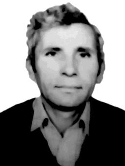 Puniše Bogdanova Madžgalja