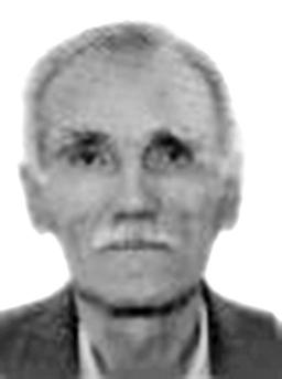 VLADIMIR -MIŠKO      STOJANOVIĆ