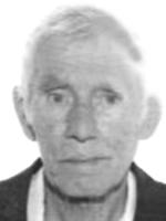 VASILJ PEROVIĆ