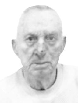 Slobodan Dušanov Zečević
