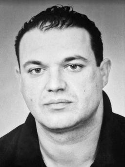 SLOBODAN  MARIĆ