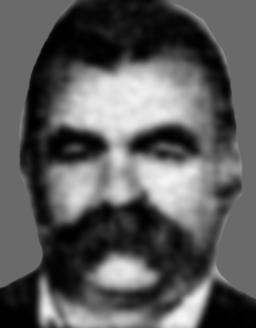 BLAGOTA PETRIČEVIĆ