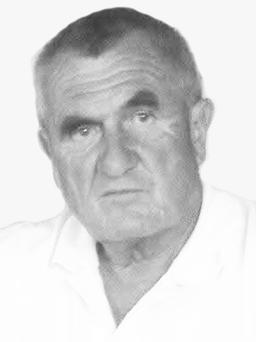 Dragoljubu Gagoviću