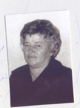 DANICI ULIĆEVIĆ
