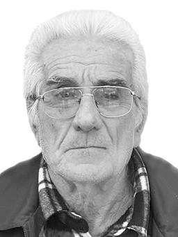PETAR - PERO  Radov  LIJEŠEVIĆ