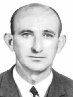 VESELIN  RASPOPOVIĆ