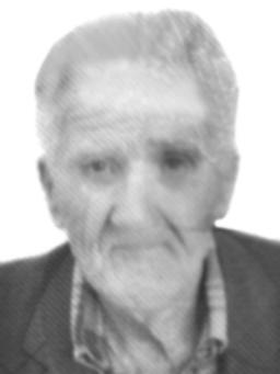 ZARIJA Marka RADINOVIĆ