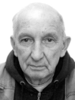 VESELIN Momčilov PEKIĆ