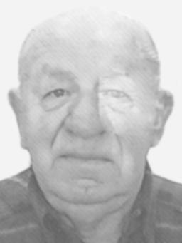 Momu Koprivici