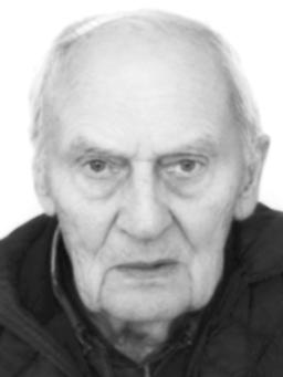 VELIMIR Kostadina BLEČIĆ