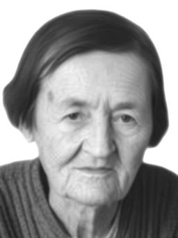 SLAVKI JAŠOVIĆ