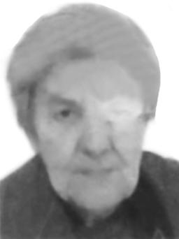 JULKI Blagoja STEVOVIĆ