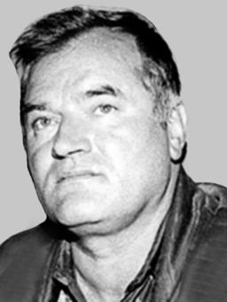 Ratku Mladiću