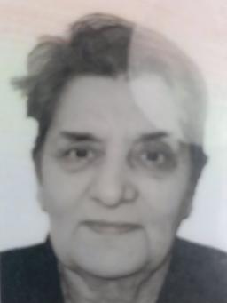 ZORKA DOMAZETOVIĆ