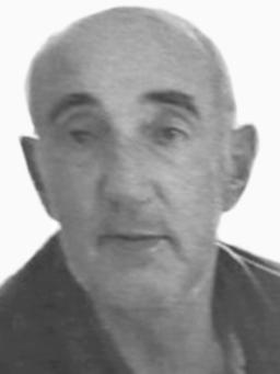 Veselin Velimira Obradović