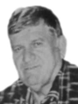 RADOVAN Milisava VEŠOVIĆ