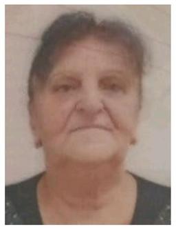 RUŽICA Novaka BRAUNOVIĆ