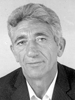 VESELIN TOŠO RADINOVIĆ
