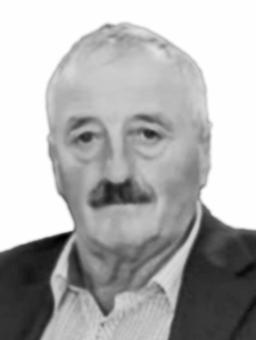 VELIMIR-VESO PEROVIĆ