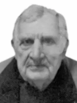 NIKOLA Pavlov PERKOVIĆ