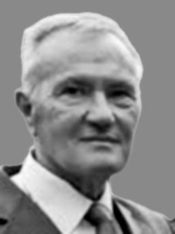 STEVAN Radovana VUKČEVIĆ