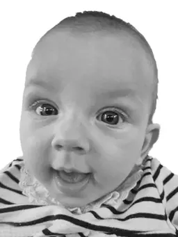 RUŽA Svetolikova TODOSIJEVIĆ