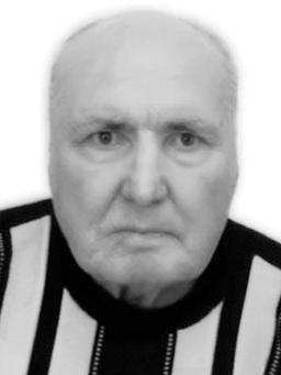 BOŽIDARU STANOJEVIĆU