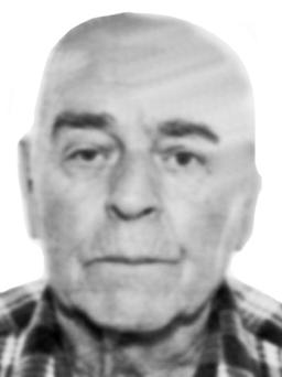 DIMITRIJE LAZAREVIĆ