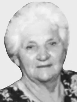 POLJKE Ilijine RAJKOVIĆ