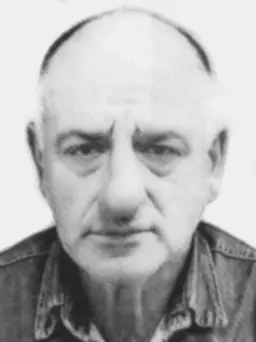 GORAN Voja MEDENICA