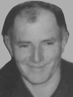 LJUBOMIR N. JANKOVIĆ