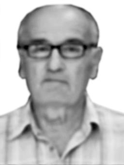 SRETEN Gojkov PERUNIČIĆ