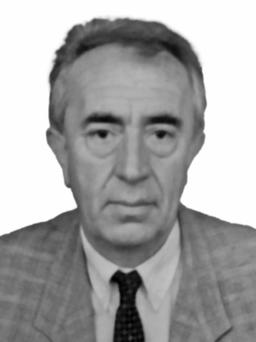 BUDIMIR A. ŠLJIVANČANIN