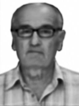 SRETENA PERUNIČIĆA