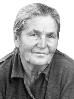 KOVILJKA Novice ANĐELIĆ
