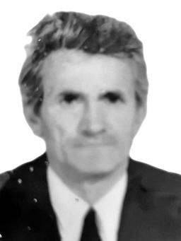 DUŠAN ĐURIŠIĆ