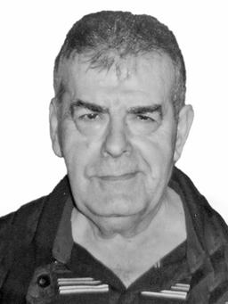 SVETOZAR – PEŠA JOVANOVIĆ