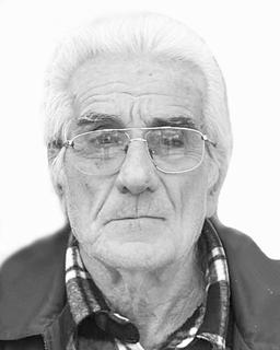 PETAR - PERO Radov LIJEŠEVIĆ
