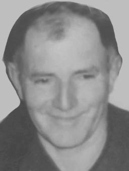 LJUBOMIR Novaka JANKOVIĆ