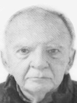 TODOR pok. Janka RADMILOVIĆ